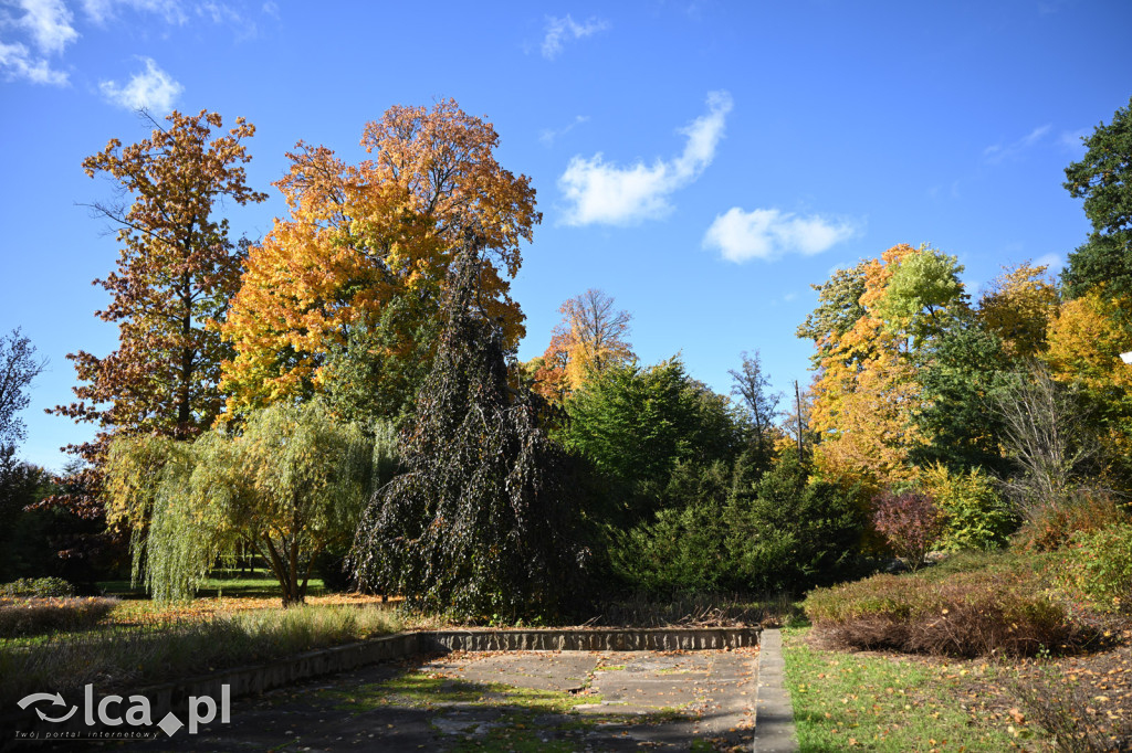Jesienna Legnica i jesienni legniczanie