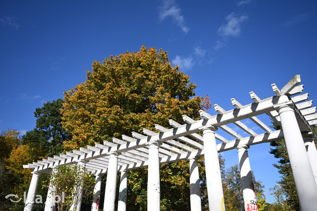 Jesienna Legnica i jesienni legniczanie