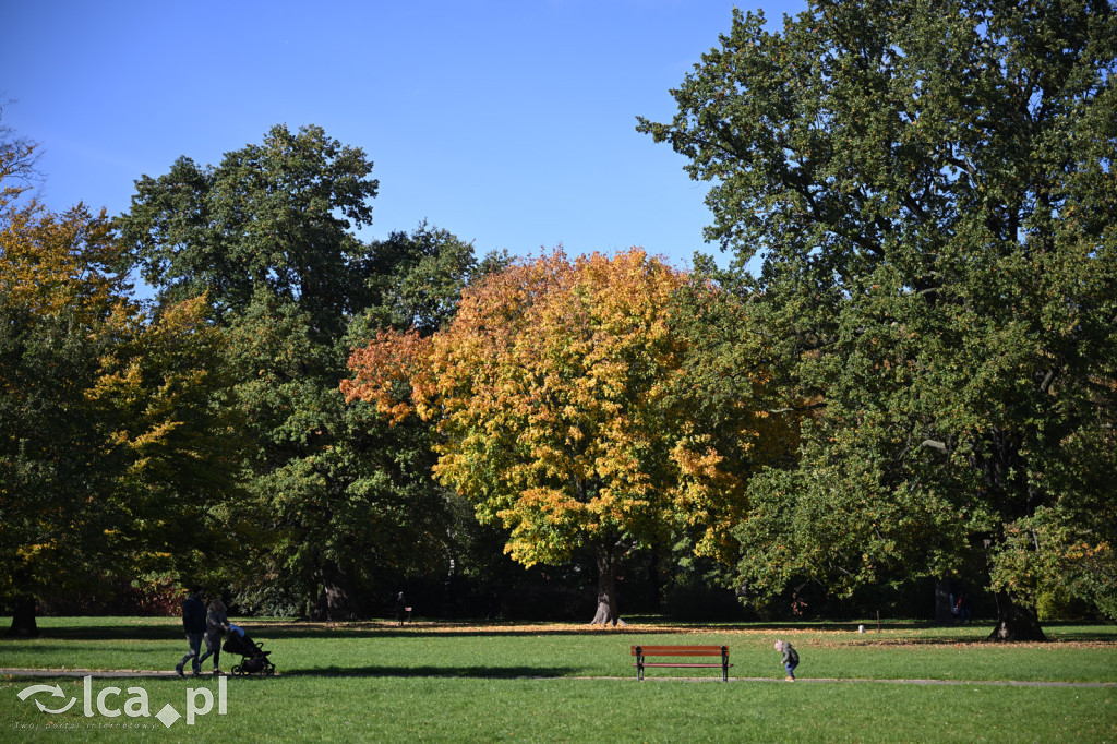 Jesienna Legnica i jesienni legniczanie