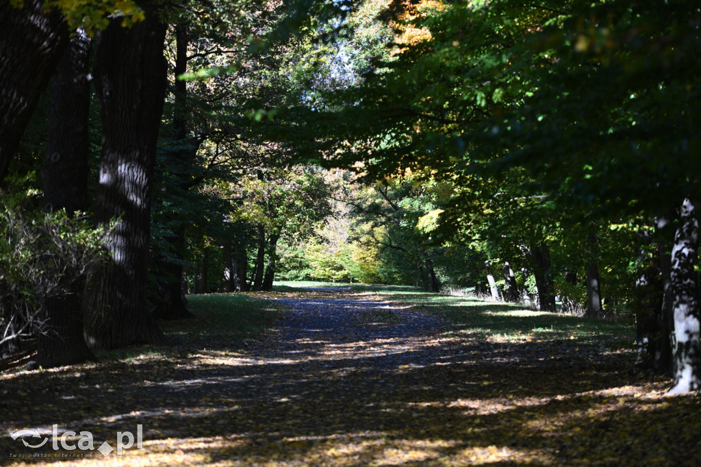 Jesienna Legnica i jesienni legniczanie