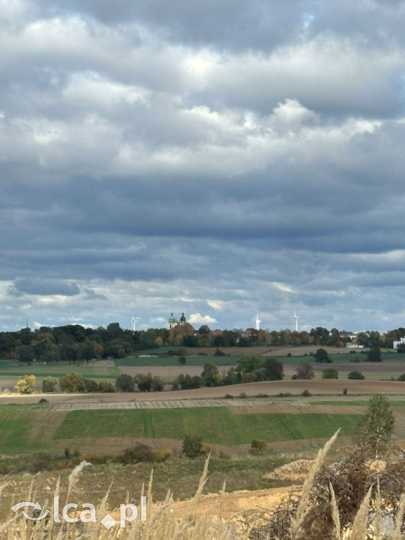 Tak wyglądał spacer z Geoparkiem