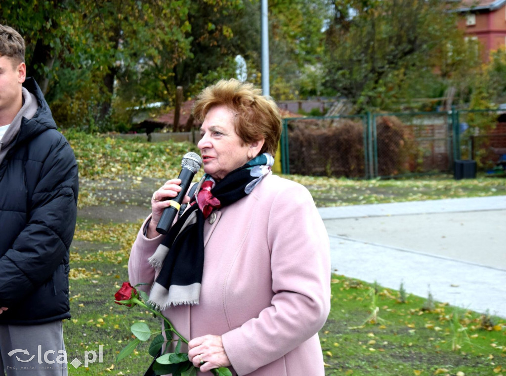 Nowe boiska przy PZS w Chojnowie