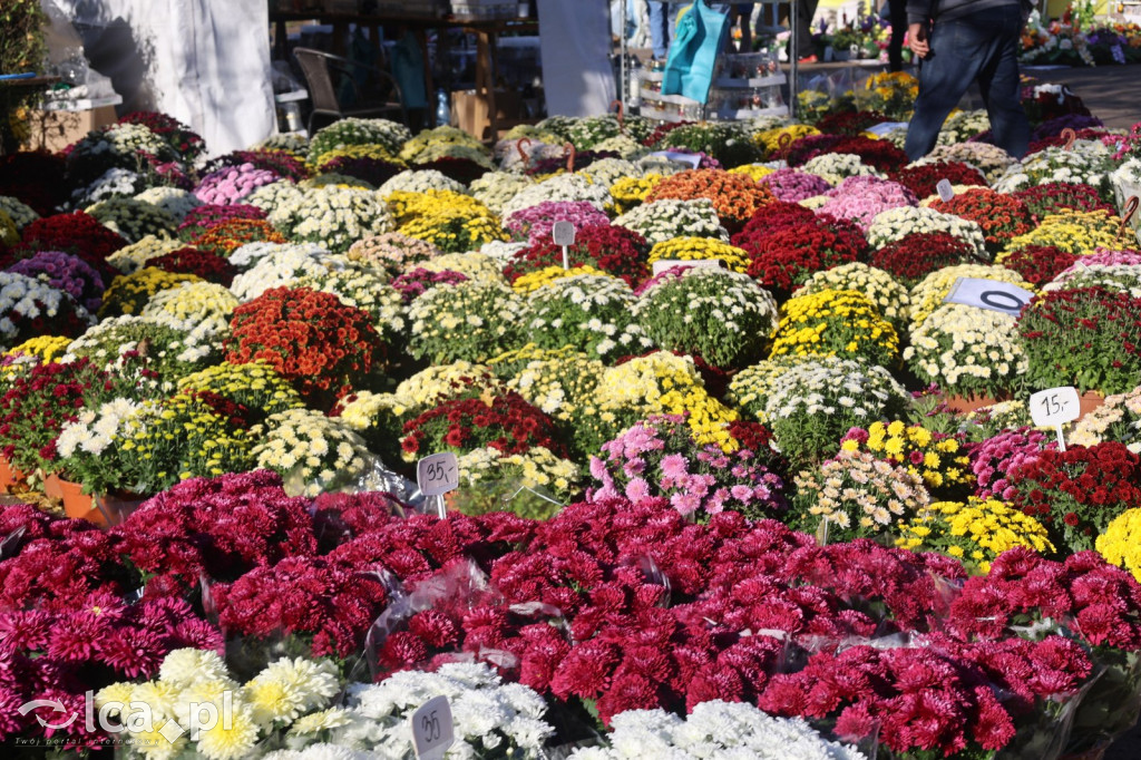 Wszystkich Świętych w Legnicy – wzmożony ruch