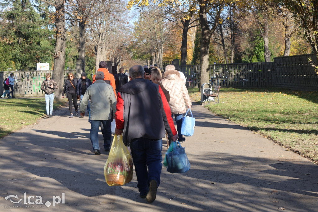 Wszystkich Świętych w Legnicy – wzmożony ruch