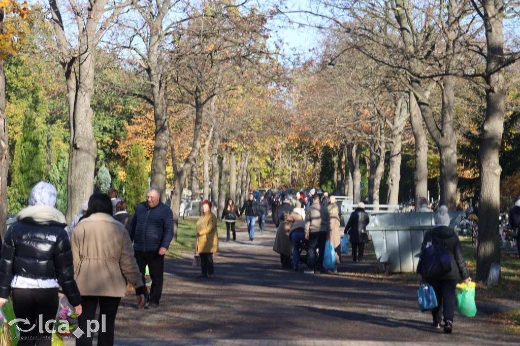Wszystkich Świętych w Legnicy – wzmożony ruch