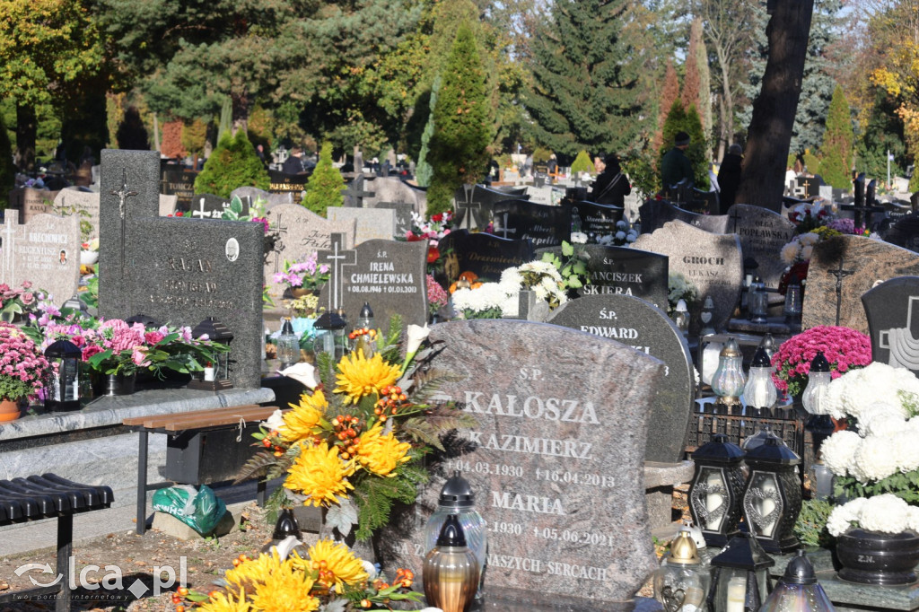 Wszystkich Świętych w Legnicy – wzmożony ruch