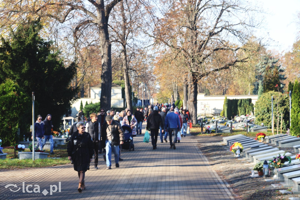 Wszystkich Świętych w Legnicy – wzmożony ruch