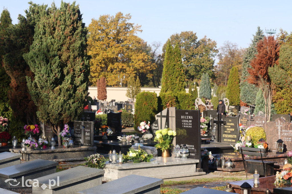 Wszystkich Świętych w Legnicy – wzmożony ruch