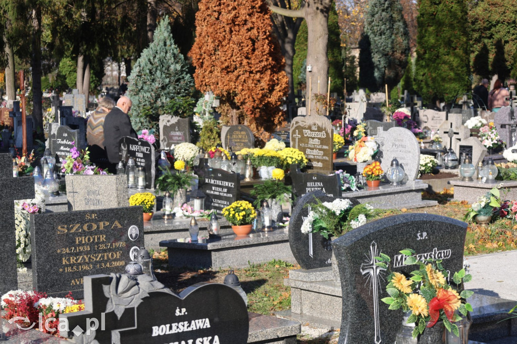 Wszystkich Świętych w Legnicy – wzmożony ruch