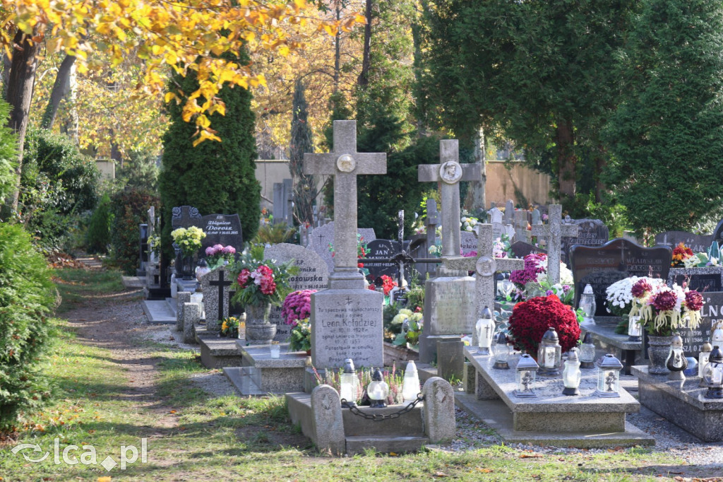 Wszystkich Świętych w Legnicy – wzmożony ruch