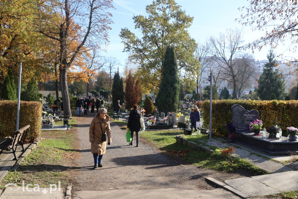 Wszystkich Świętych w Legnicy – wzmożony ruch