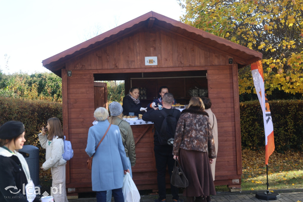 Wszystkich Świętych w Legnicy – wzmożony ruch
