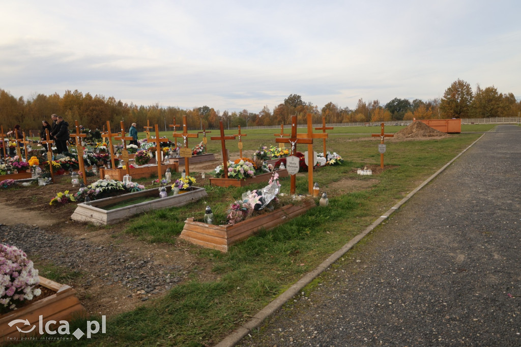 Msza święta i procesja różańcowa