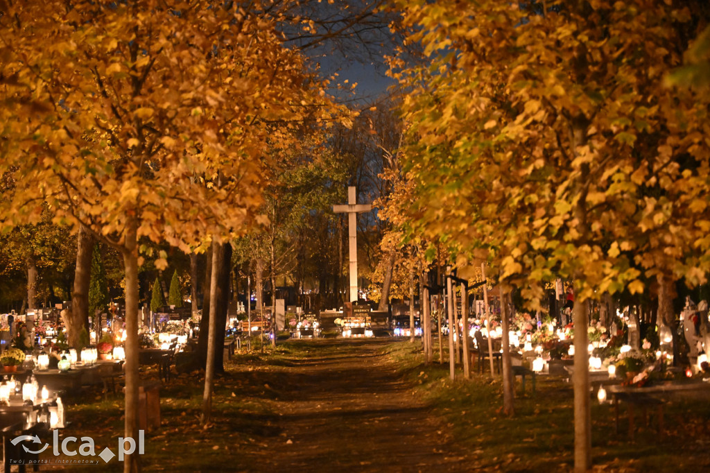 Cmentarz rozświetlony tysiącami zniczy