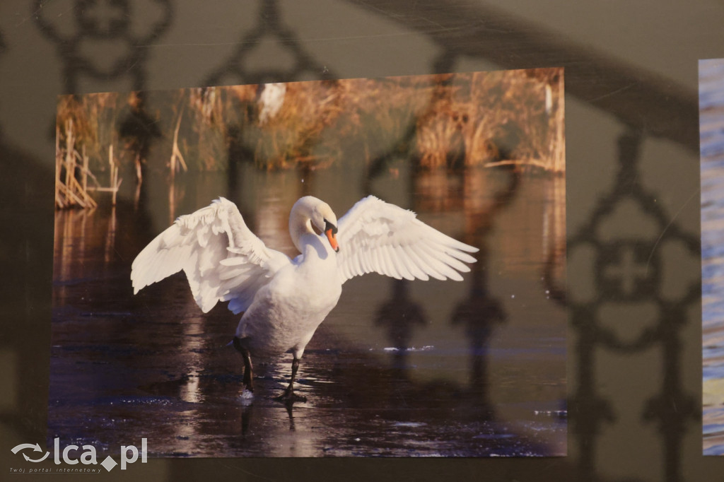 „Polska jakiej nie znacie” w obiektywie