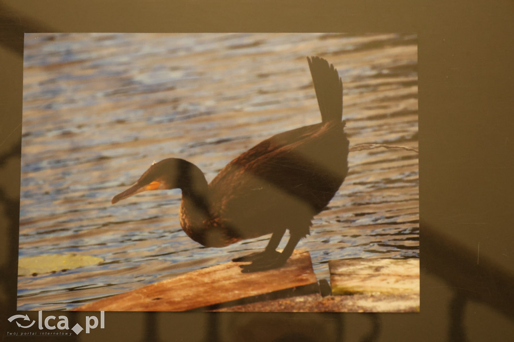 „Polska jakiej nie znacie” w obiektywie