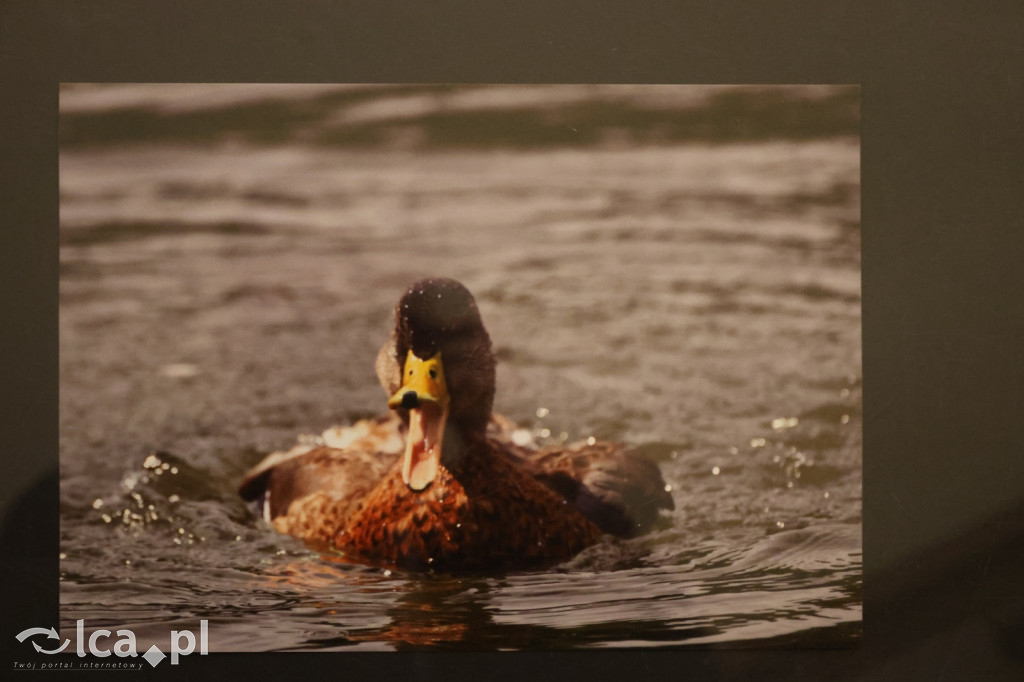 „Polska jakiej nie znacie” w obiektywie