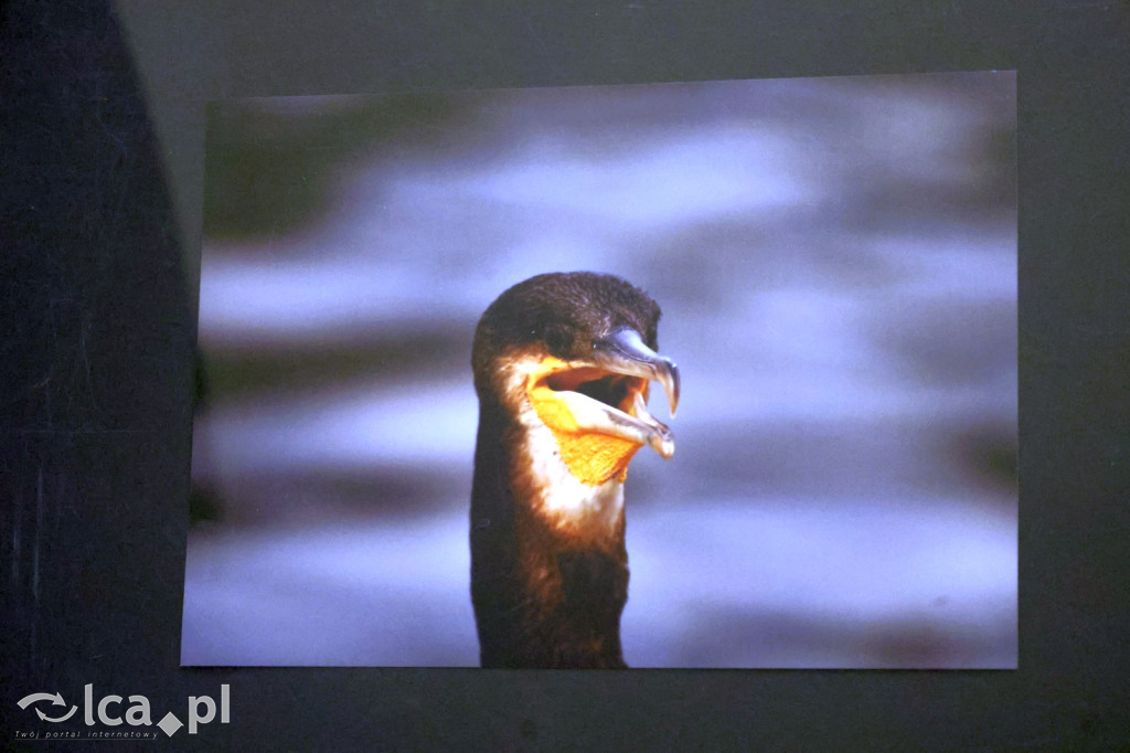 „Polska jakiej nie znacie” w obiektywie