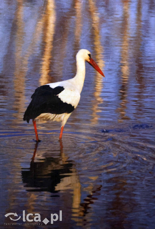 „Polska jakiej nie znacie” w obiektywie