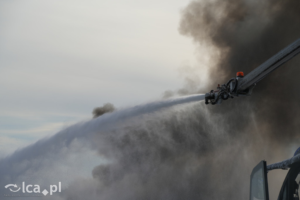 Tak wyglądały ćwiczenia na wrocławskim lotnisku