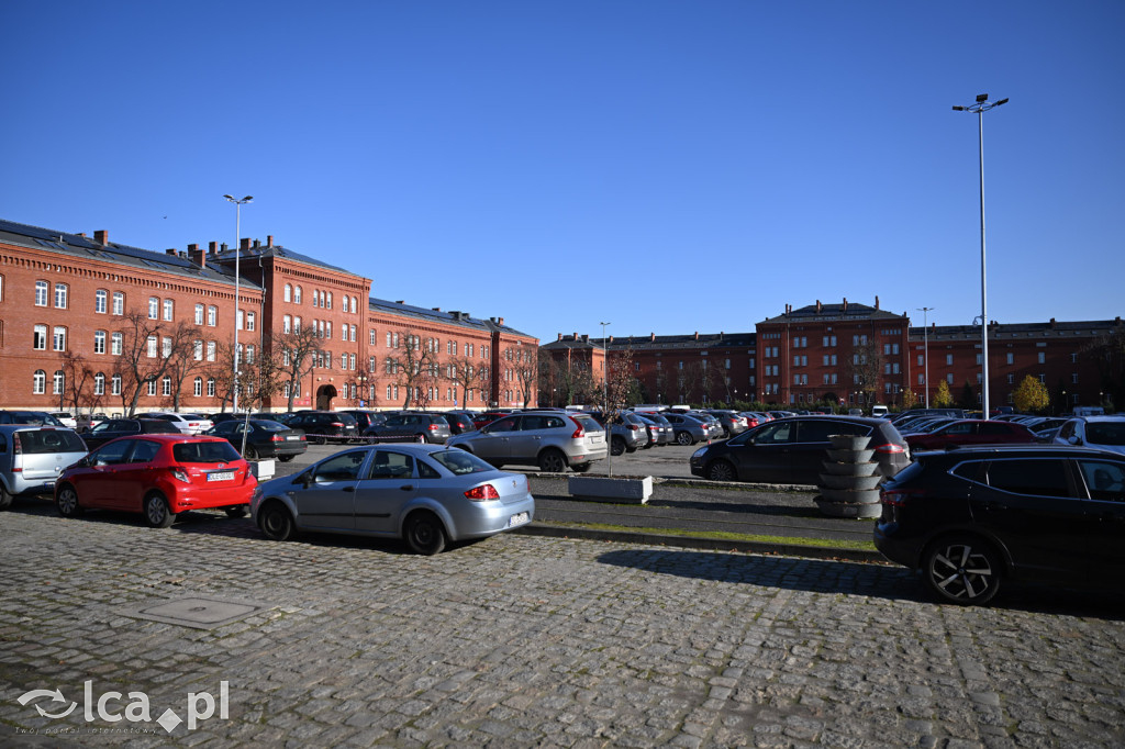 Towarzystwo Przyjaciół Dzieci ma już 80 lat