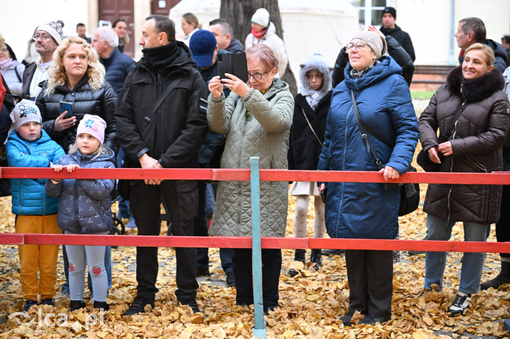 Ostatni Piast wrócił do Legnicy