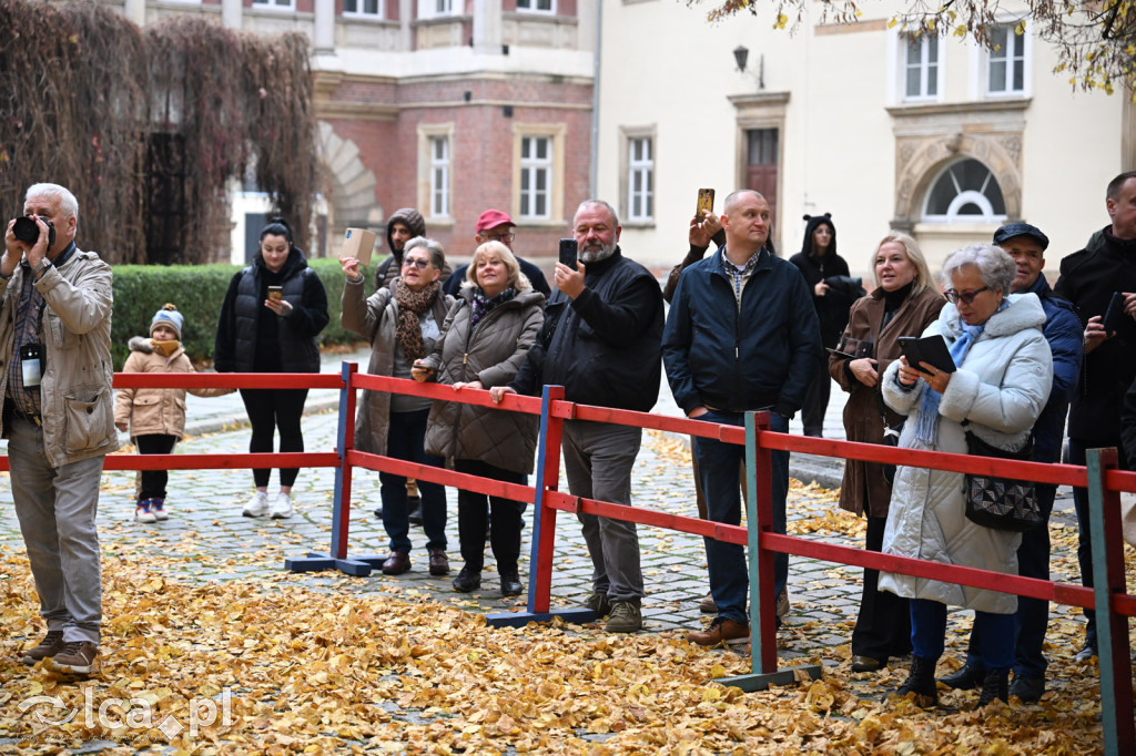 Ostatni Piast wrócił do Legnicy