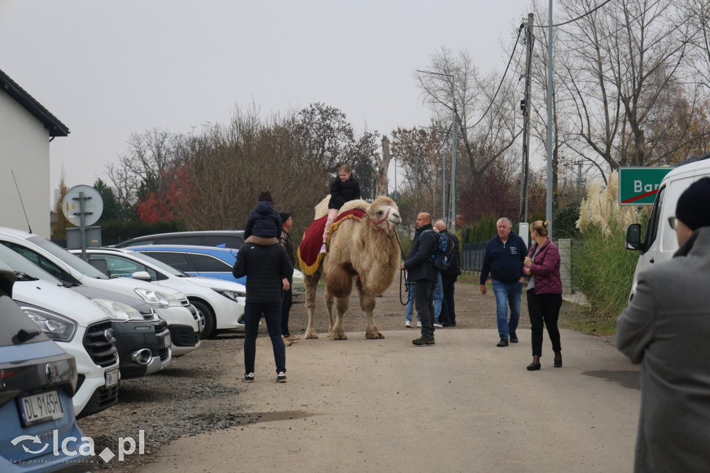 Niedzielny targ zdrowej żywności w Bartoszowie