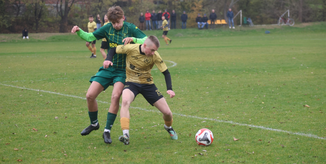 Bazalt Piotrowice górą w Tyńcu Legnickim