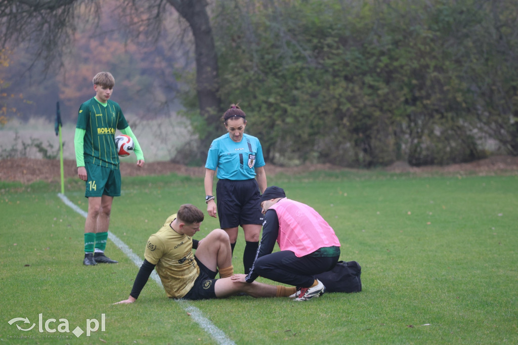 Bazalt Piotrowice górą w Tyńcu Legnickim