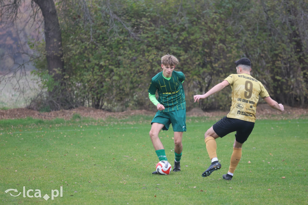 Bazalt Piotrowice górą w Tyńcu Legnickim