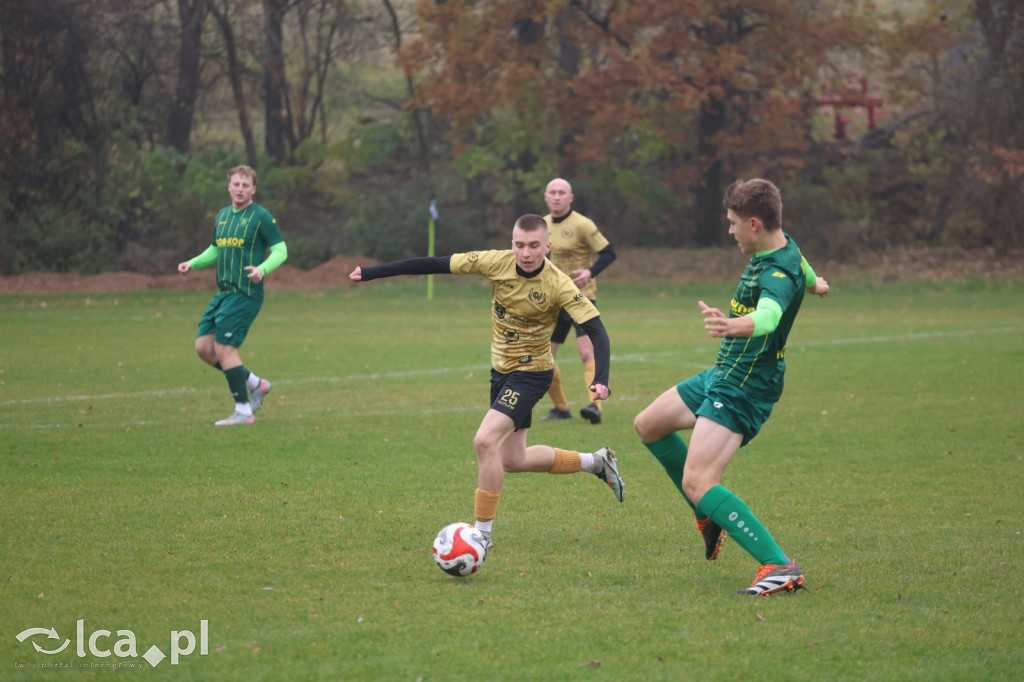 Bazalt Piotrowice górą w Tyńcu Legnickim