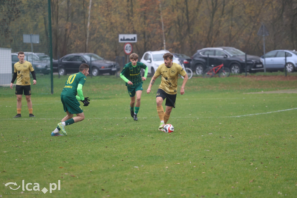 Bazalt Piotrowice górą w Tyńcu Legnickim