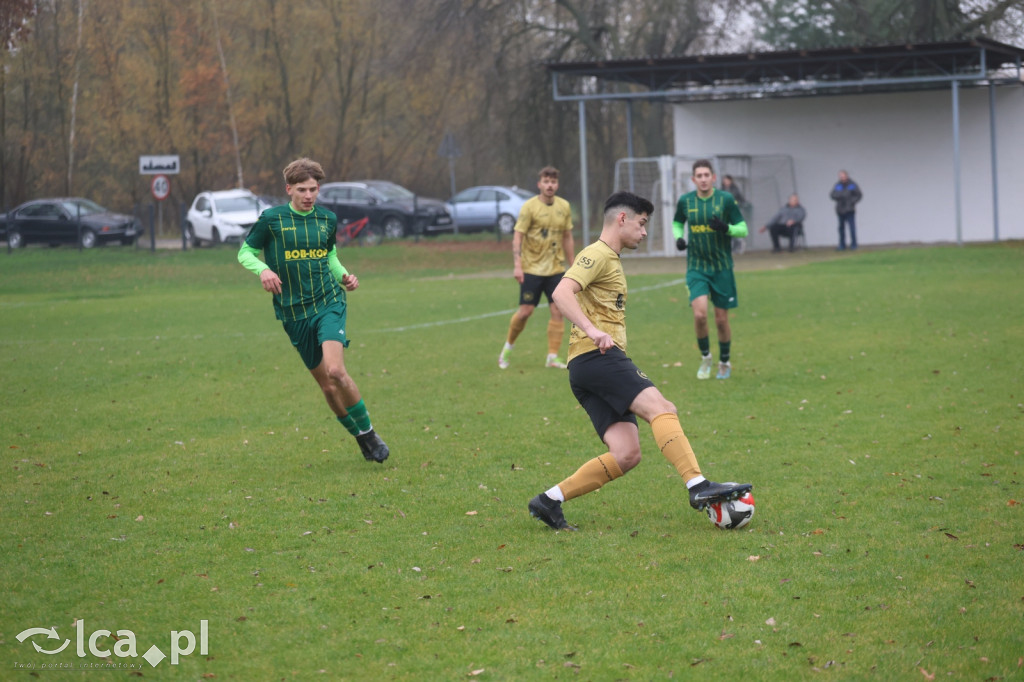 Bazalt Piotrowice górą w Tyńcu Legnickim