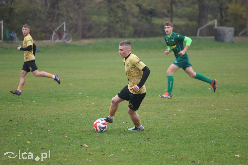 Bazalt Piotrowice górą w Tyńcu Legnickim