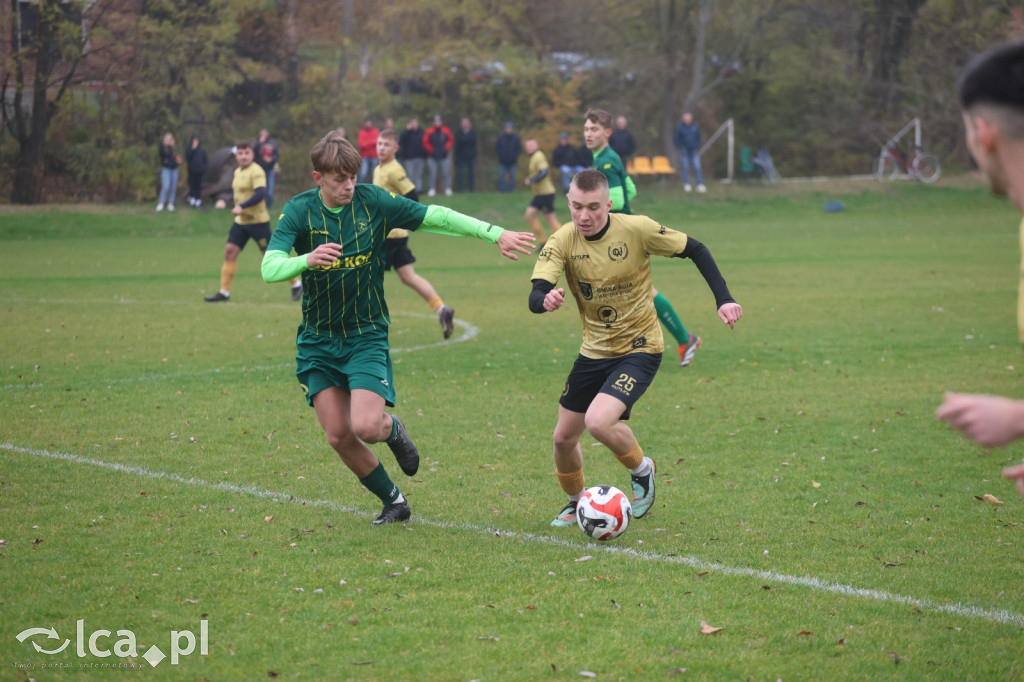 Bazalt Piotrowice górą w Tyńcu Legnickim