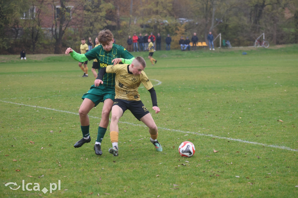 Bazalt Piotrowice górą w Tyńcu Legnickim
