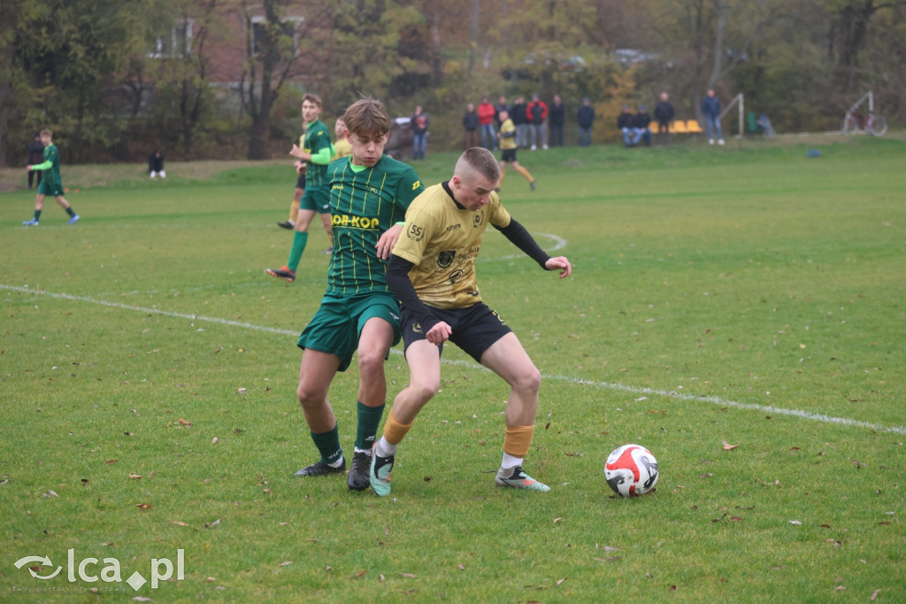 Bazalt Piotrowice górą w Tyńcu Legnickim