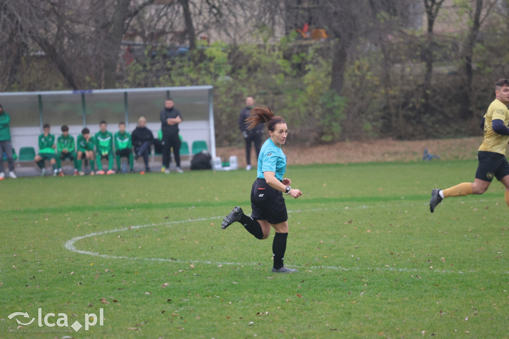 Bazalt Piotrowice górą w Tyńcu Legnickim