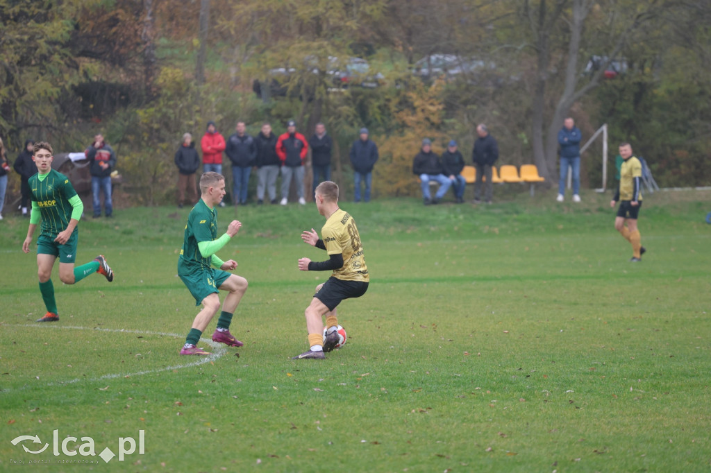 Bazalt Piotrowice górą w Tyńcu Legnickim