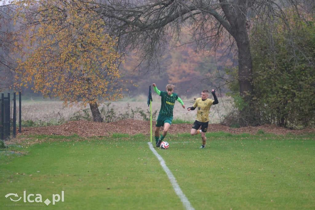 Bazalt Piotrowice górą w Tyńcu Legnickim