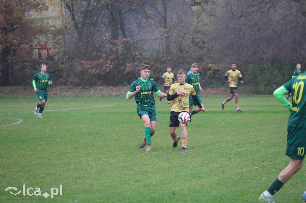 Bazalt Piotrowice górą w Tyńcu Legnickim