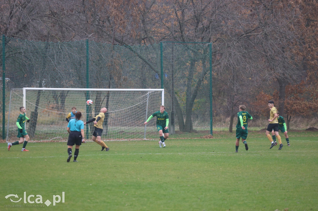 Bazalt Piotrowice górą w Tyńcu Legnickim