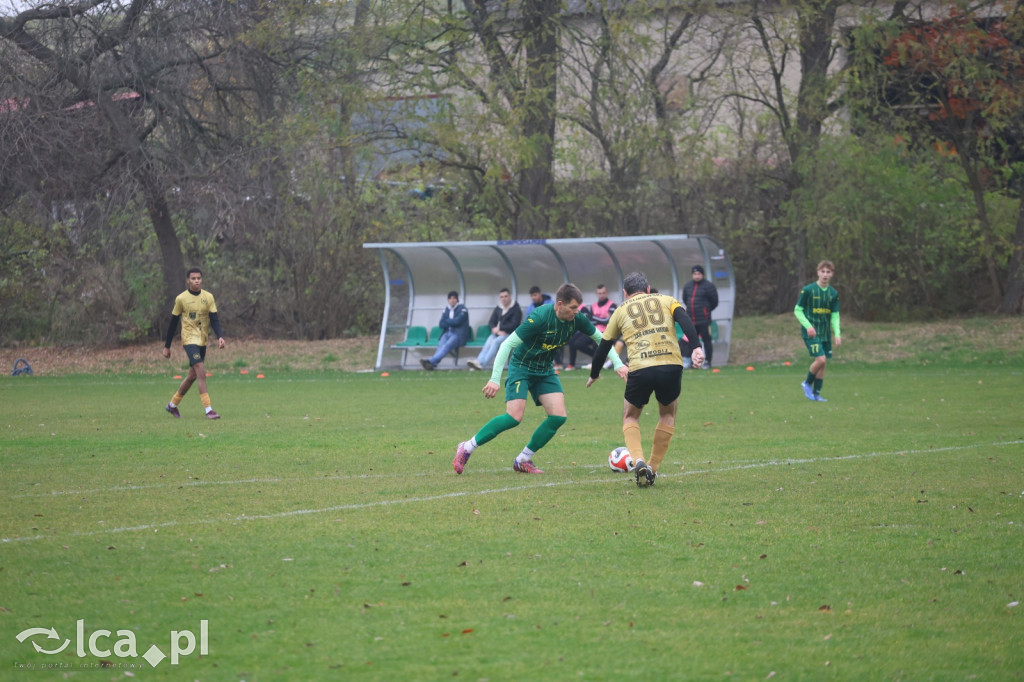 Bazalt Piotrowice górą w Tyńcu Legnickim