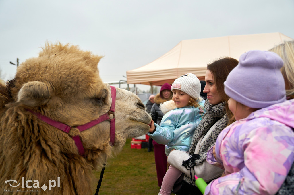 V Jarmark w Bartoszowie przyciągnął tłumy