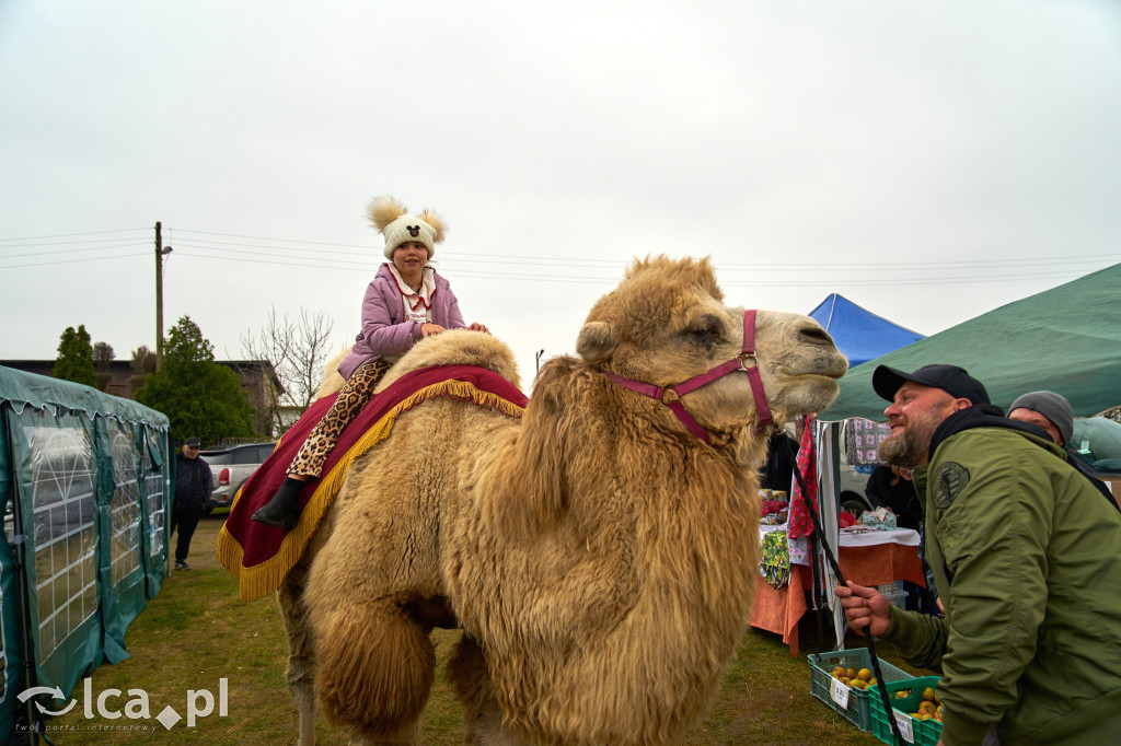 V Jarmark w Bartoszowie przyciągnął tłumy