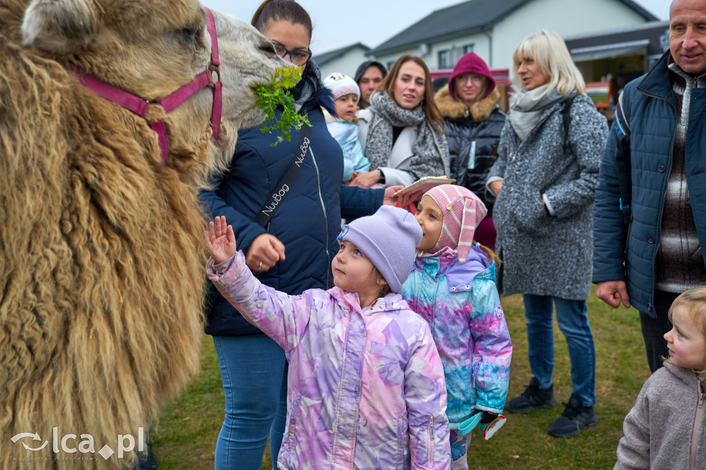 V Jarmark w Bartoszowie przyciągnął tłumy