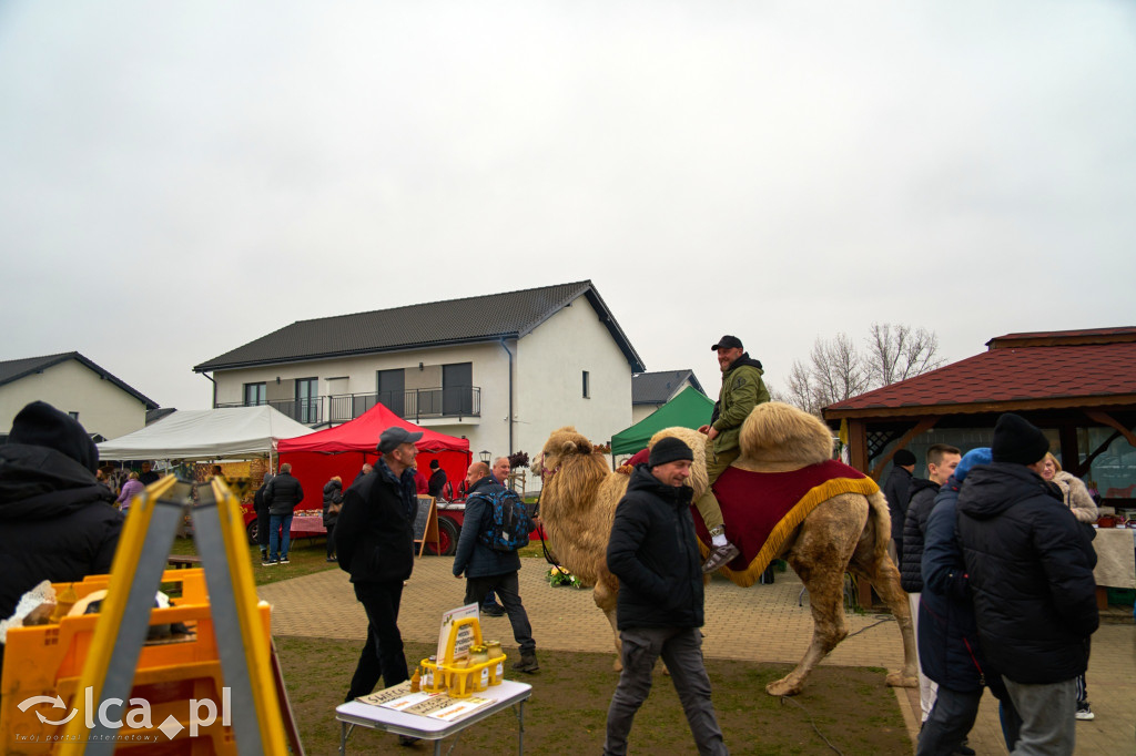 V Jarmark w Bartoszowie przyciągnął tłumy