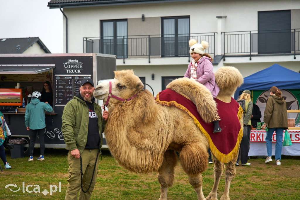 V Jarmark w Bartoszowie przyciągnął tłumy