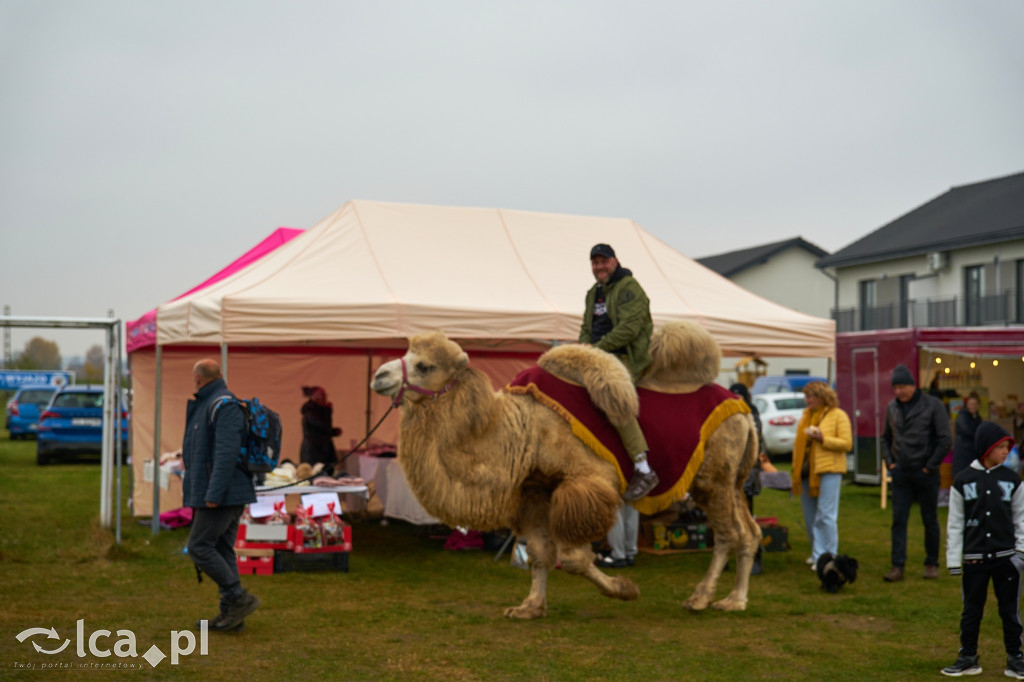 V Jarmark w Bartoszowie przyciągnął tłumy